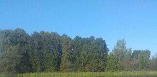 Koolilapsed nautisid seikluslikku kanuumatka