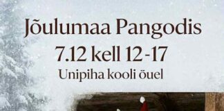 Jõulumaa Pangodis