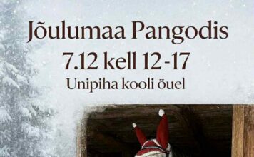 Jõulumaa Pangodis
