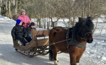 Vastlapäev Unipiha kooli õuel