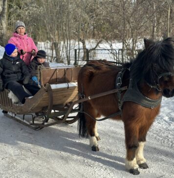 Vastlapäev Unipiha kooli õuel