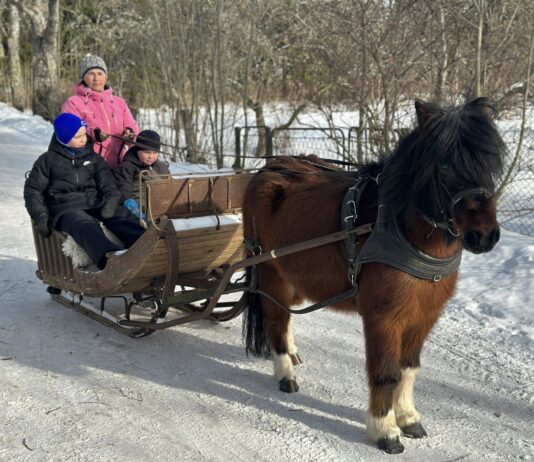 Vastlapäev Unipiha kooli õuel