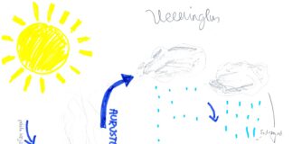 Unipiha koolis tähistati veepäeva tegusate tegevustega