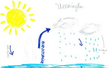 Unipiha koolis tähistati veepäeva tegusate tegevustega