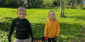 Päev kooliaias