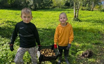 Päev kooliaias