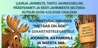 Unipiha kool osaleb joonistuskonkursil „Metsas on äge!“