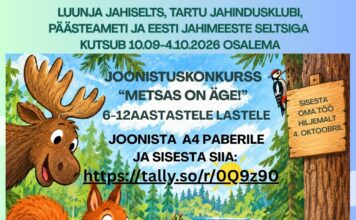 Unipiha kool osaleb joonistuskonkursil „Metsas on äge!“
